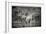 Awesome South Africa Collection B&W - Two Giraffes in the Savanna-Philippe Hugonnard-Framed Photographic Print