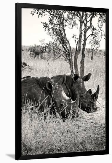 Awesome South Africa Collection B&W - Two White Rhinoceros II-Philippe Hugonnard-Framed Photographic Print