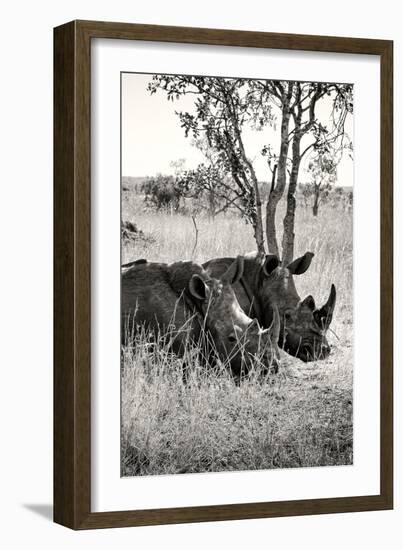 Awesome South Africa Collection B&W - Two White Rhinoceros II-Philippe Hugonnard-Framed Photographic Print