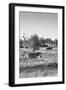 Awesome South Africa Collection B&W - Two Zebras on Savanna II-Philippe Hugonnard-Framed Photographic Print