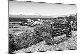 Awesome South Africa Collection B&W - View Point Bench-Philippe Hugonnard-Mounted Photographic Print