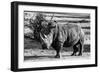 Awesome South Africa Collection B&W - White Rhinoceros-Philippe Hugonnard-Framed Photographic Print