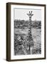 Awesome South Africa Collection B&W - Young Giraffe-Philippe Hugonnard-Framed Photographic Print