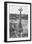 Awesome South Africa Collection B&W - Young Giraffe-Philippe Hugonnard-Framed Photographic Print