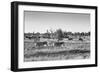 Awesome South Africa Collection B&W - Zebras Herd on Savanna II-Philippe Hugonnard-Framed Photographic Print