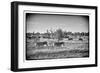 Awesome South Africa Collection B&W - Zebras Herd on Savanna III-Philippe Hugonnard-Framed Photographic Print