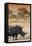 Awesome South Africa Collection - Black Rhinoceros and Savanna Landscape at Sunset I-Philippe Hugonnard-Framed Stretched Canvas