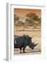 Awesome South Africa Collection - Black Rhinoceros and Savanna Landscape at Sunset I-Philippe Hugonnard-Framed Photographic Print