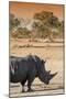 Awesome South Africa Collection - Black Rhinoceros and Savanna Landscape at Sunset I-Philippe Hugonnard-Mounted Premium Photographic Print