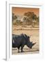 Awesome South Africa Collection - Black Rhinoceros and Savanna Landscape at Sunset I-Philippe Hugonnard-Framed Photographic Print