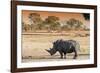 Awesome South Africa Collection - Black Rhinoceros and Savanna Landscape at Sunset-Philippe Hugonnard-Framed Photographic Print