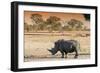 Awesome South Africa Collection - Black Rhinoceros and Savanna Landscape at Sunset-Philippe Hugonnard-Framed Photographic Print