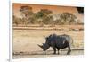 Awesome South Africa Collection - Black Rhinoceros and Savanna Landscape at Sunset-Philippe Hugonnard-Framed Photographic Print