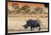 Awesome South Africa Collection - Black Rhinoceros and Savanna Landscape at Sunset-Philippe Hugonnard-Framed Photographic Print