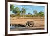 Awesome South Africa Collection - Black Rhinoceros and Savanna Landscape-Philippe Hugonnard-Framed Photographic Print