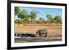 Awesome South Africa Collection - Black Rhinoceros and Savanna Landscape-Philippe Hugonnard-Framed Photographic Print