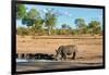 Awesome South Africa Collection - Black Rhinoceros and Savanna Landscape-Philippe Hugonnard-Framed Photographic Print