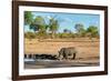 Awesome South Africa Collection - Black Rhinoceros and Savanna Landscape-Philippe Hugonnard-Framed Photographic Print