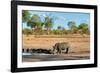 Awesome South Africa Collection - Black Rhinoceros and Savanna Landscape-Philippe Hugonnard-Framed Photographic Print