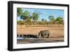 Awesome South Africa Collection - Black Rhinoceros and Savanna Landscape-Philippe Hugonnard-Framed Photographic Print