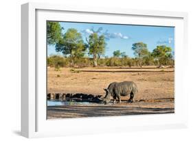 Awesome South Africa Collection - Black Rhinoceros and Savanna Landscape-Philippe Hugonnard-Framed Photographic Print