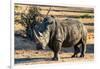 Awesome South Africa Collection - Black Rhinoceros I-Philippe Hugonnard-Framed Photographic Print