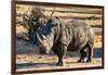 Awesome South Africa Collection - Black Rhinoceros I-Philippe Hugonnard-Framed Photographic Print