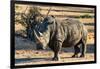 Awesome South Africa Collection - Black Rhinoceros I-Philippe Hugonnard-Framed Photographic Print