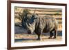 Awesome South Africa Collection - Black Rhinoceros I-Philippe Hugonnard-Framed Photographic Print