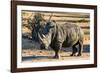 Awesome South Africa Collection - Black Rhinoceros I-Philippe Hugonnard-Framed Photographic Print