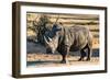Awesome South Africa Collection - Black Rhinoceros I-Philippe Hugonnard-Framed Premium Photographic Print