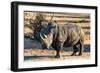 Awesome South Africa Collection - Black Rhinoceros I-Philippe Hugonnard-Framed Premium Photographic Print