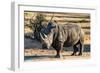 Awesome South Africa Collection - Black Rhinoceros I-Philippe Hugonnard-Framed Premium Photographic Print