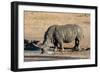 Awesome South Africa Collection - Black Rhinoceros II-Philippe Hugonnard-Framed Photographic Print