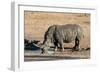 Awesome South Africa Collection - Black Rhinoceros II-Philippe Hugonnard-Framed Photographic Print