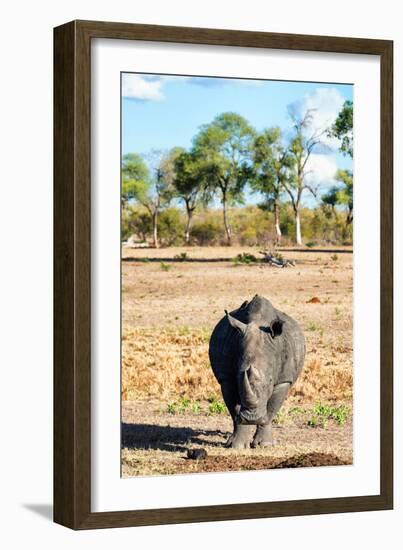 Awesome South Africa Collection - Black Rhinoceros-Philippe Hugonnard-Framed Photographic Print