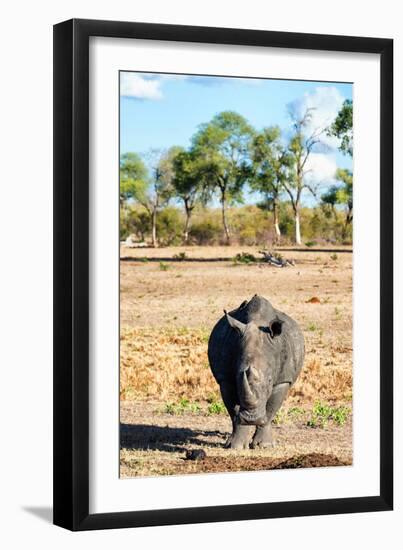 Awesome South Africa Collection - Black Rhinoceros-Philippe Hugonnard-Framed Photographic Print