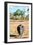 Awesome South Africa Collection - Black Rhinoceros-Philippe Hugonnard-Framed Photographic Print