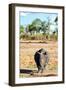 Awesome South Africa Collection - Black Rhinoceros-Philippe Hugonnard-Framed Premium Photographic Print