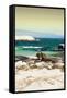 Awesome South Africa Collection - Boulders Beach at Sunset - Cape Town II-Philippe Hugonnard-Framed Stretched Canvas