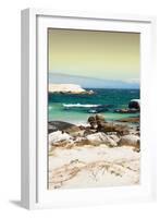 Awesome South Africa Collection - Boulders Beach at Sunset - Cape Town II-Philippe Hugonnard-Framed Photographic Print