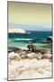 Awesome South Africa Collection - Boulders Beach at Sunset - Cape Town II-Philippe Hugonnard-Mounted Photographic Print