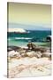 Awesome South Africa Collection - Boulders Beach at Sunset - Cape Town II-Philippe Hugonnard-Stretched Canvas