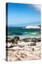 Awesome South Africa Collection - Boulders Beach - Cape Town III-Philippe Hugonnard-Stretched Canvas