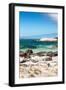 Awesome South Africa Collection - Boulders Beach - Cape Town III-Philippe Hugonnard-Framed Photographic Print