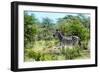 Awesome South Africa Collection - Burchell's Zebra IV-Philippe Hugonnard-Framed Photographic Print