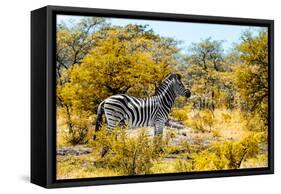 Awesome South Africa Collection - Burchell's Zebra V-Philippe Hugonnard-Framed Stretched Canvas