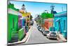 Awesome South Africa Collection - Colorful Houses - Cape Town XIV-Philippe Hugonnard-Mounted Photographic Print