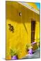 Awesome South Africa Collection - Colorful Houses "Seventy Three" Yellow-Philippe Hugonnard-Mounted Photographic Print