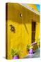 Awesome South Africa Collection - Colorful Houses "Seventy Three" Yellow-Philippe Hugonnard-Stretched Canvas